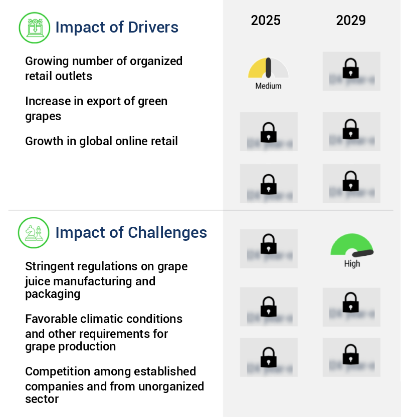 Grape Juice Market Size