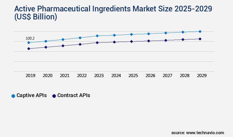 Active Pharmaceutical Ingredients Market Size