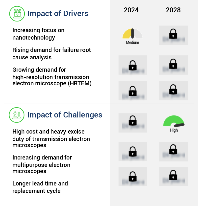 Transmission Electron Microscope Market Size