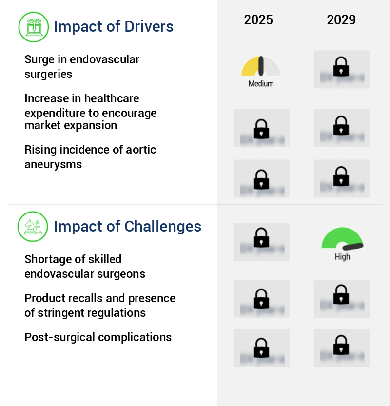 Aortic Stent Grafts Market Size