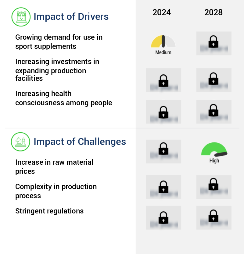 Amino Acid Market Size