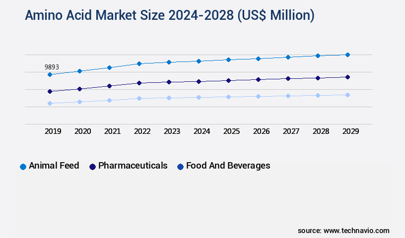 Amino Acid Market Size