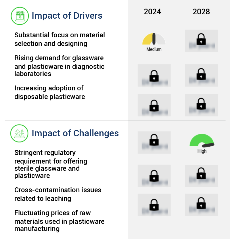 Laboratory Glassware And Plasticware Market Size