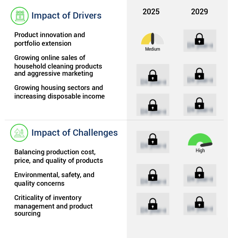Household Cleaning Products Market Size