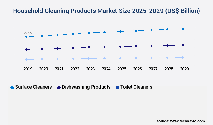 Household Cleaning Products Market Size