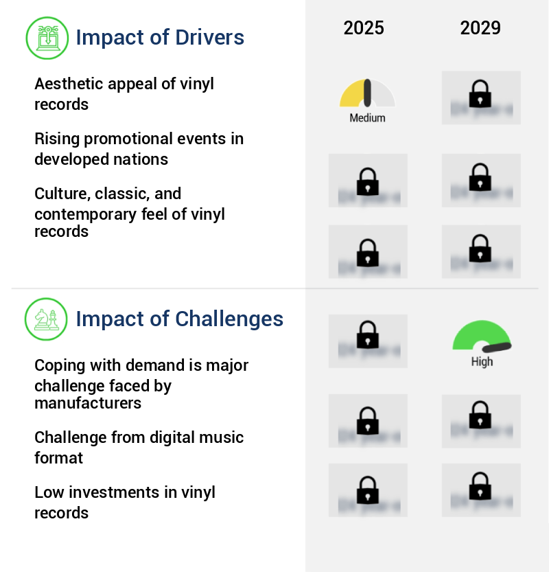 Vinyl Records Market Size