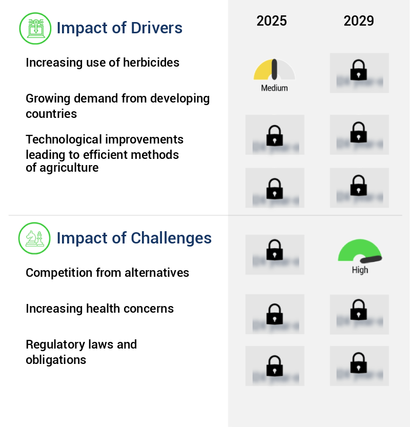 Agrochemicals Market Size