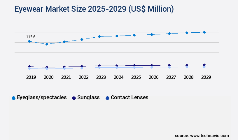 Eyewear Market Size