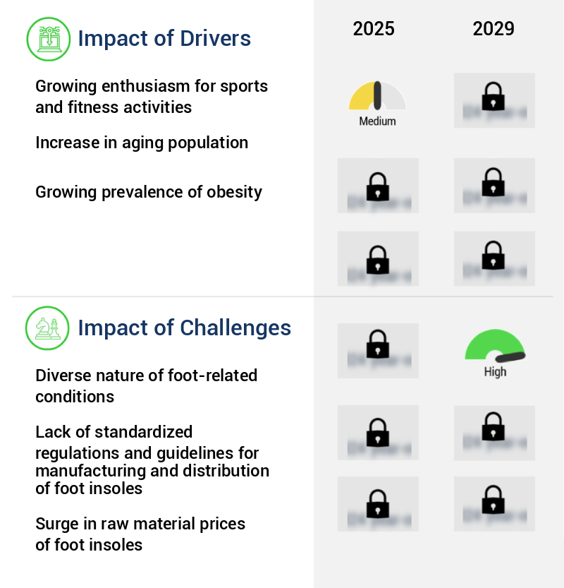 Foot Insoles Market Size