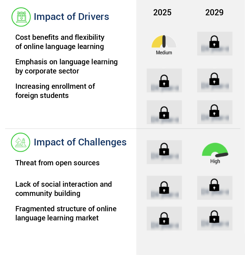 Online Language Learning Market Size