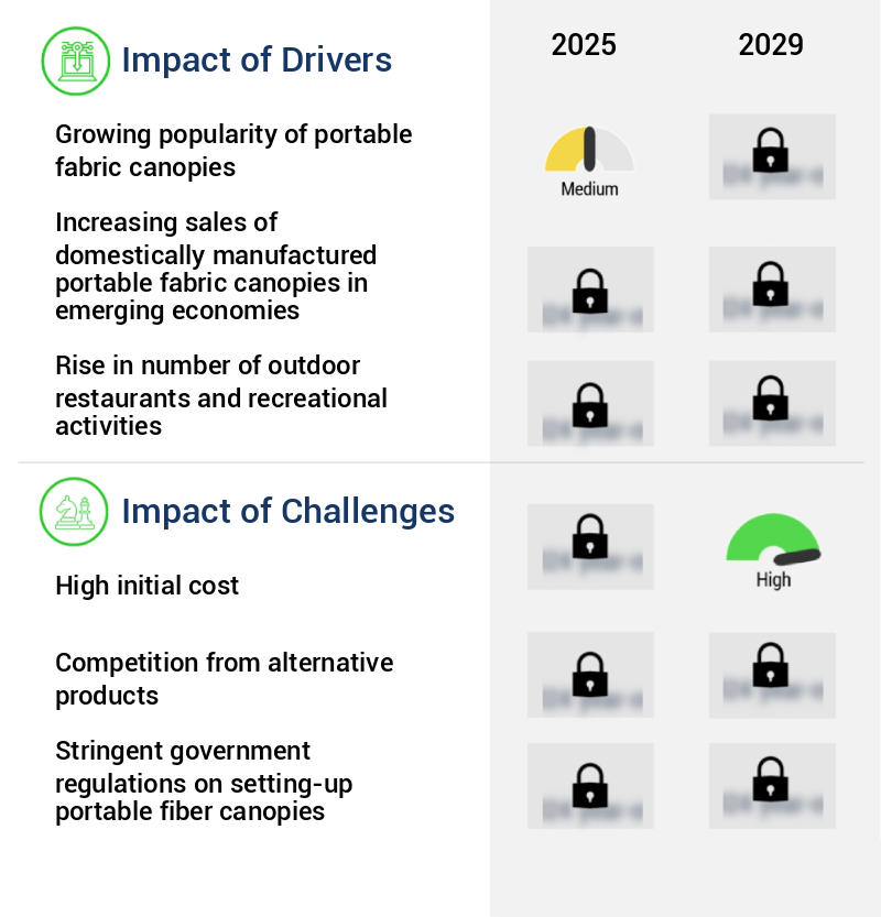 Portable Fabric Canopies Market Size