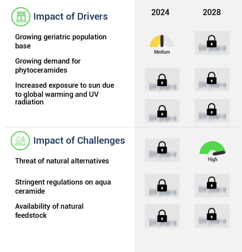 Ceramide Market Size