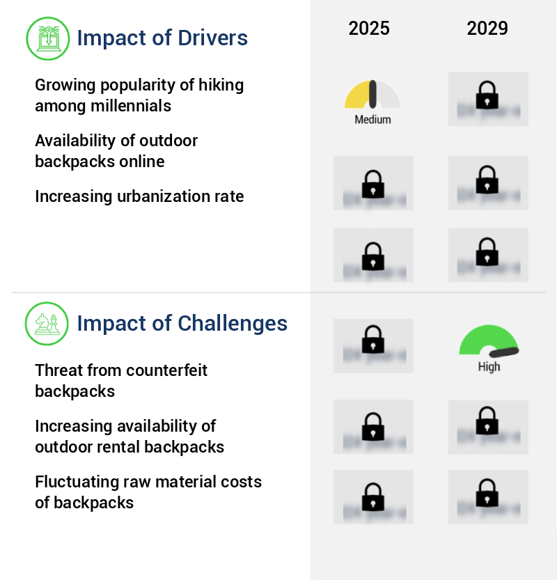 Outdoor Backpacks Market Size