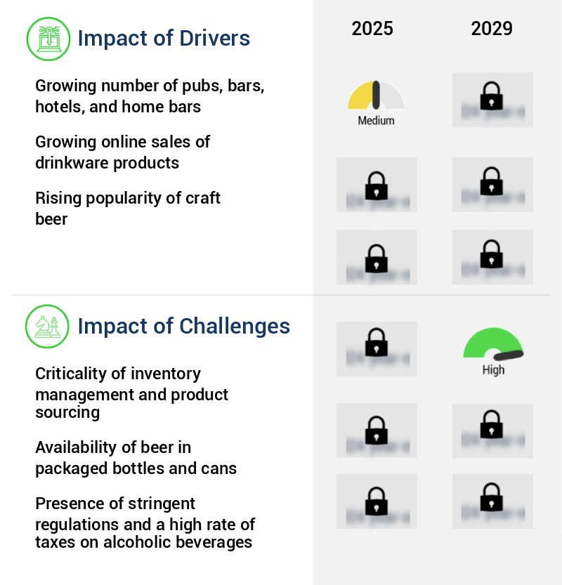 Beer Mug Market Size