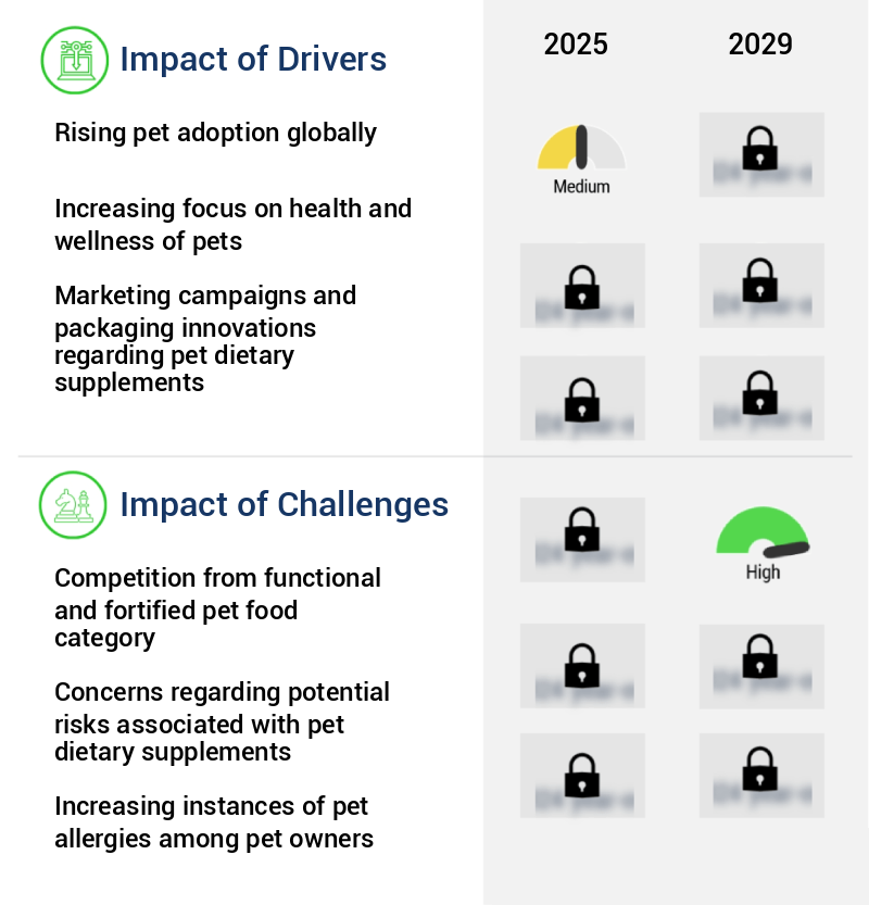 Pet Dietary Supplements Market Size