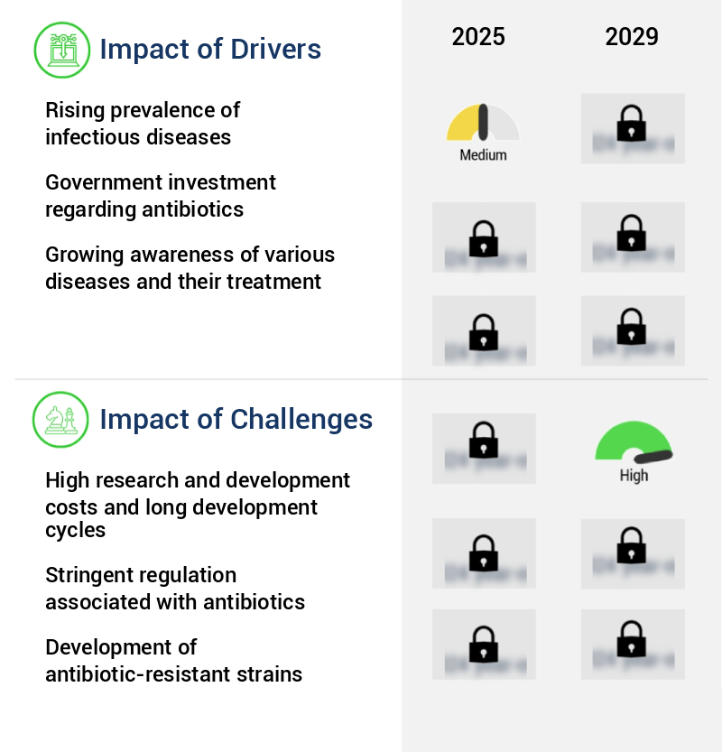 Antibiotics Market Size