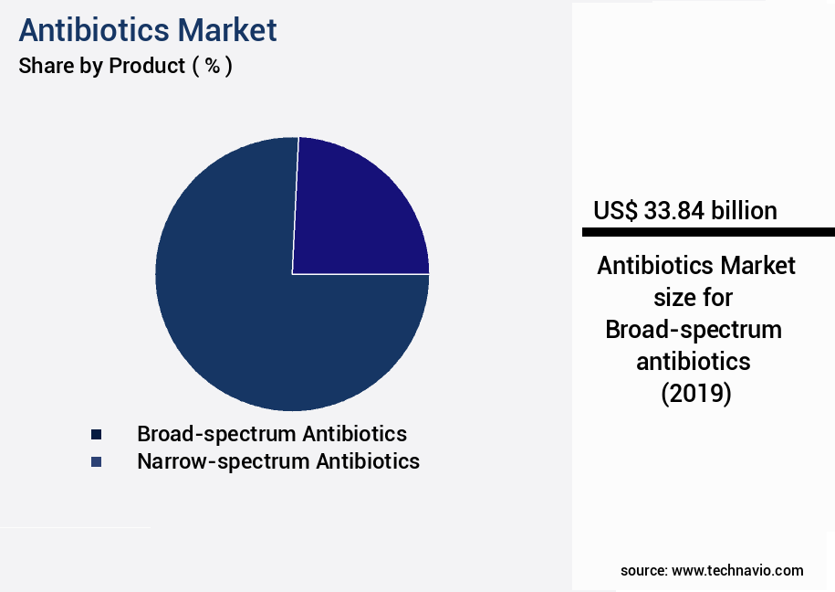 Antibiotics Market Size