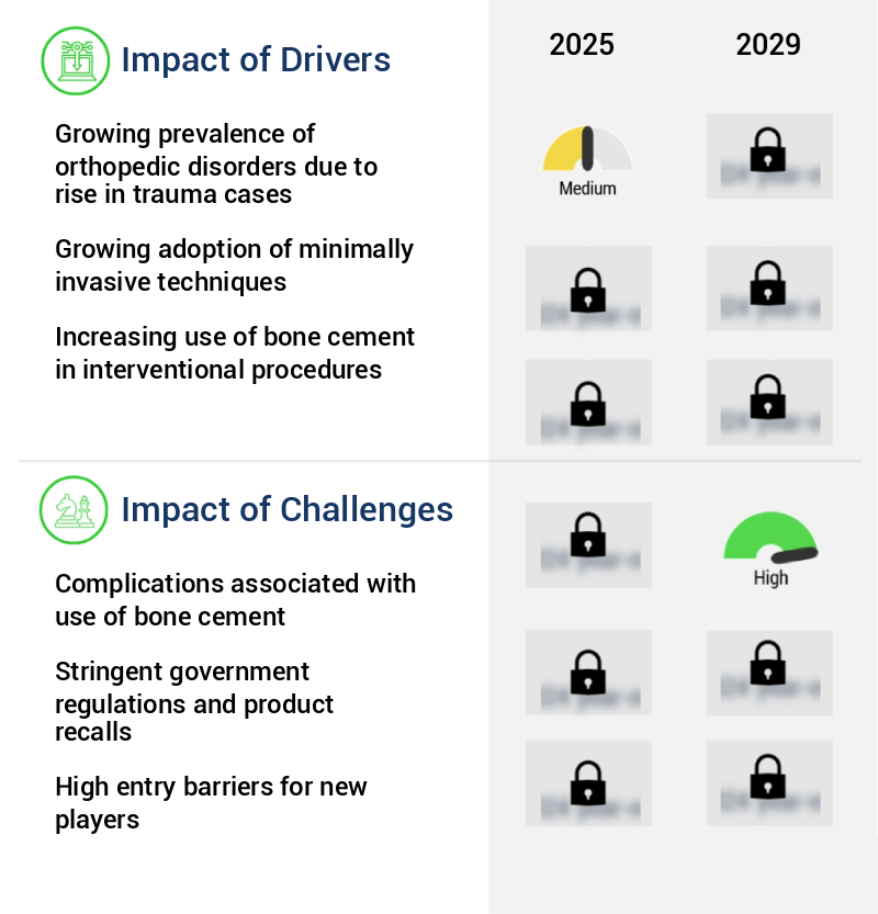 Bone Cement Market Size