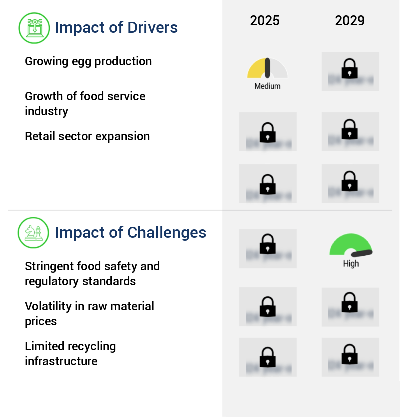Egg Packaging Market Size