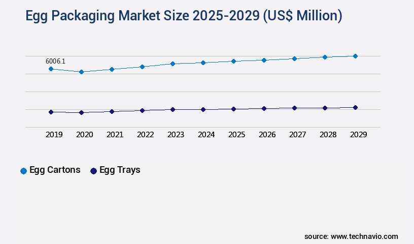 Egg Packaging Market Size
