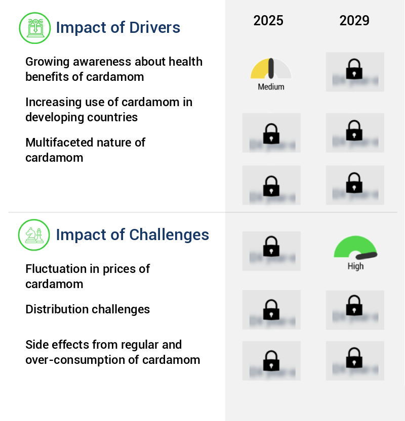 Cardamom Market Size