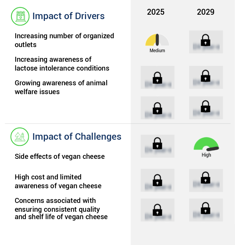 Vegan Cheese Market Size