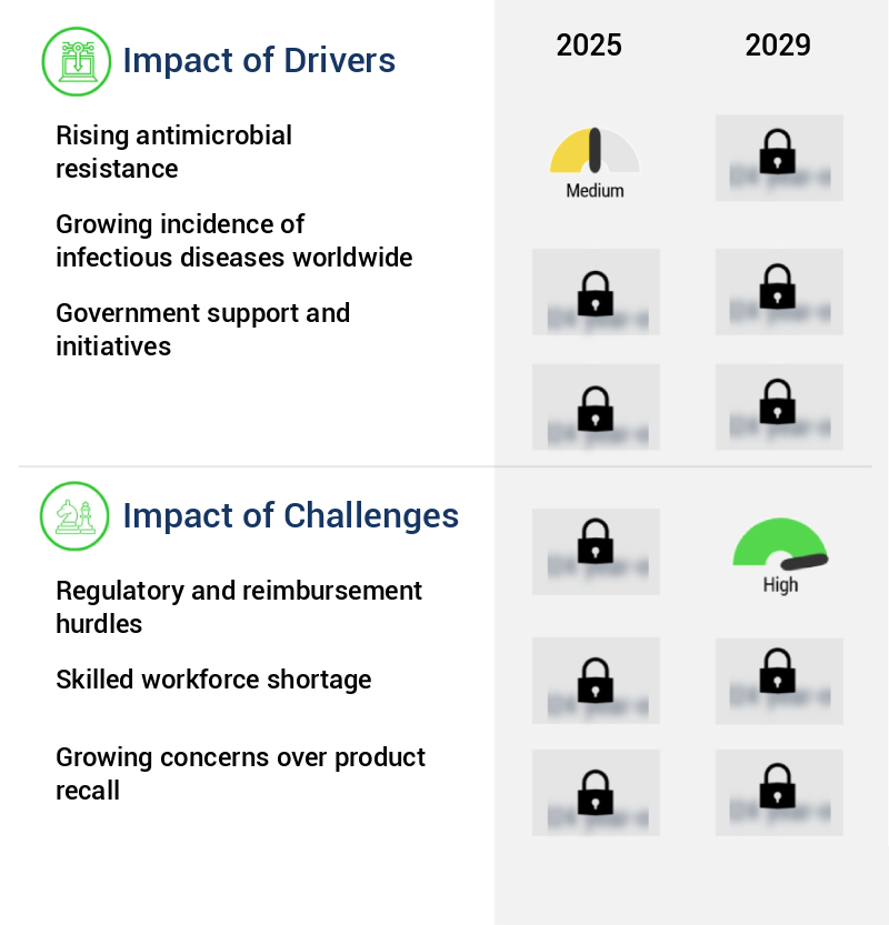 Antimicrobial Susceptibility Testing Market Size