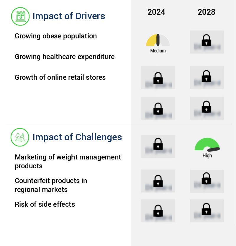 Weight Loss Supplement Market Size