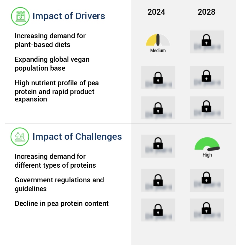 Pea Protein Market Size