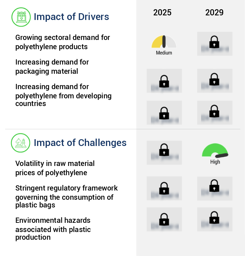 Polyethylene Market Size