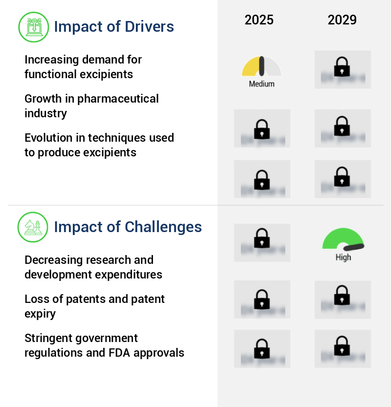 Pharmaceutical Excipients Market Size