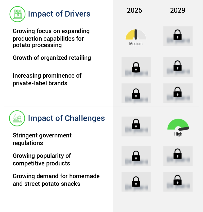 Processed Potatoes Market Size