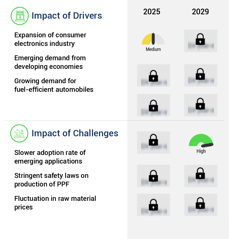 Paint Protection Film Market Size