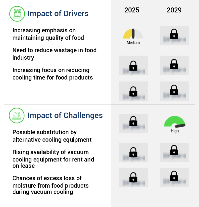Food Industry Vacuum Cooling Equipment Market Size
