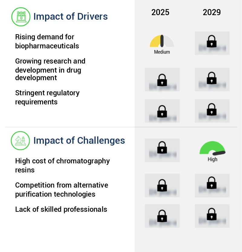 Chromatography Resins Market Size