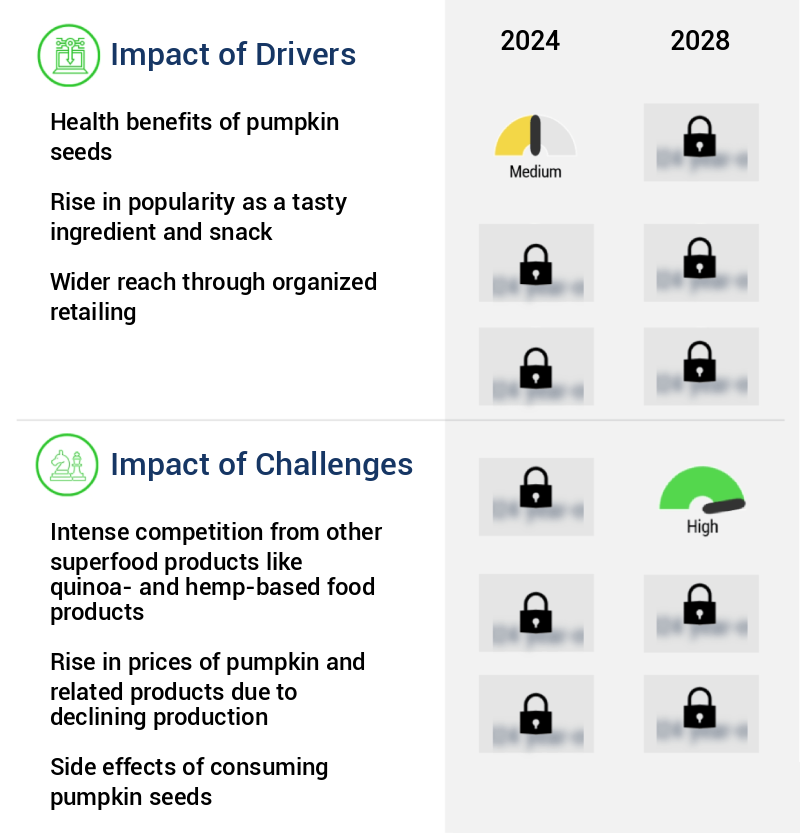 Pumpkin Seeds Market Size