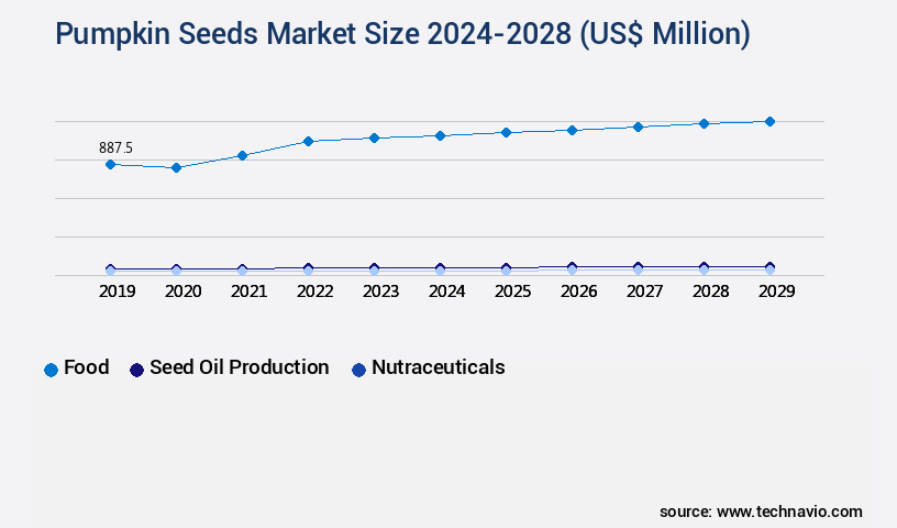 Pumpkin Seeds Market Size