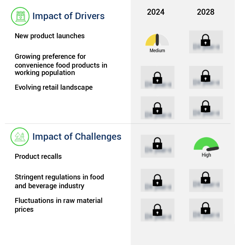 Instant Soup Market Size