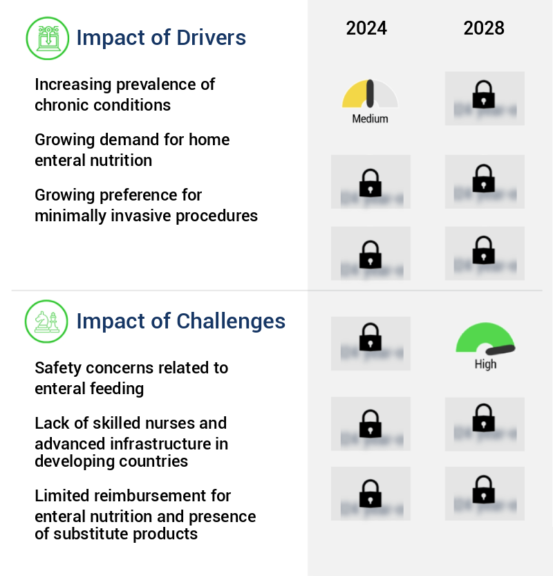 Enteral Syringe Market Size