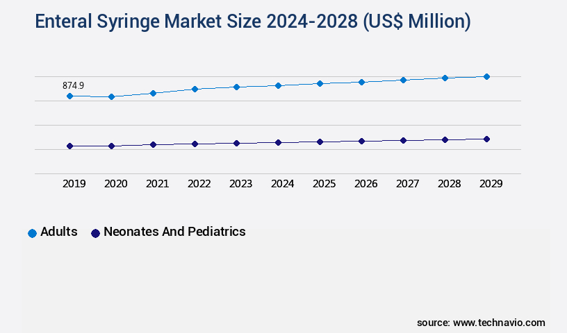 Enteral Syringe Market Size