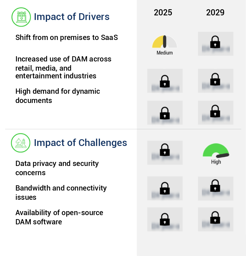 Digital Asset Management Market Size