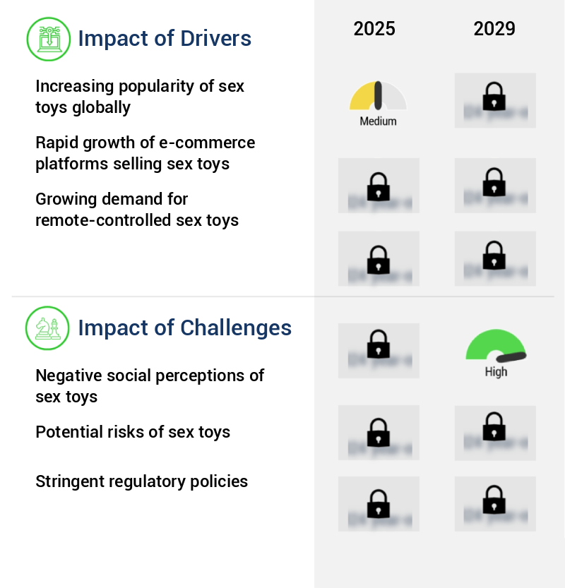 Sex Toys Market Size