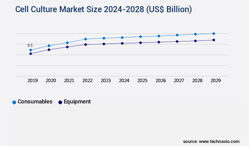 Cell Culture Market Size