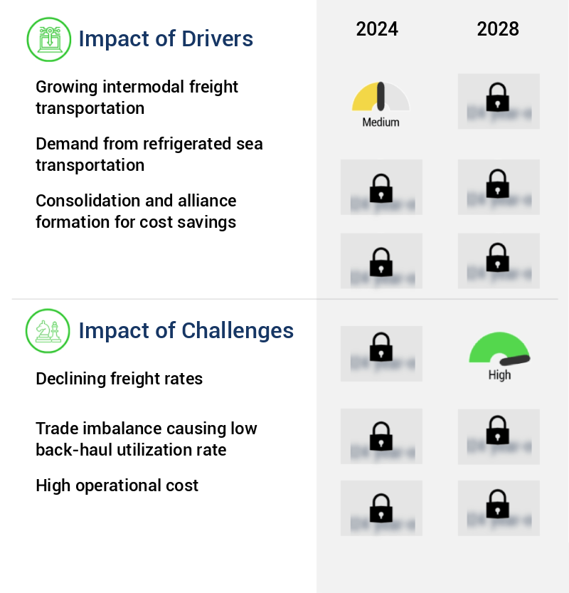 Container Fleet Market Size