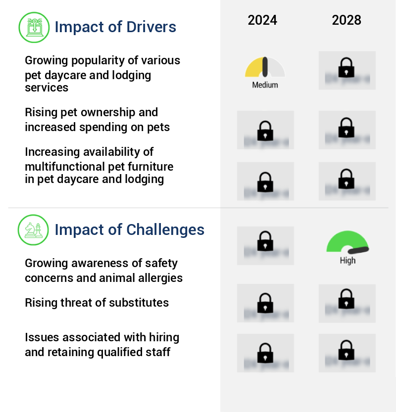 Pet Daycare And Lodging Market Size