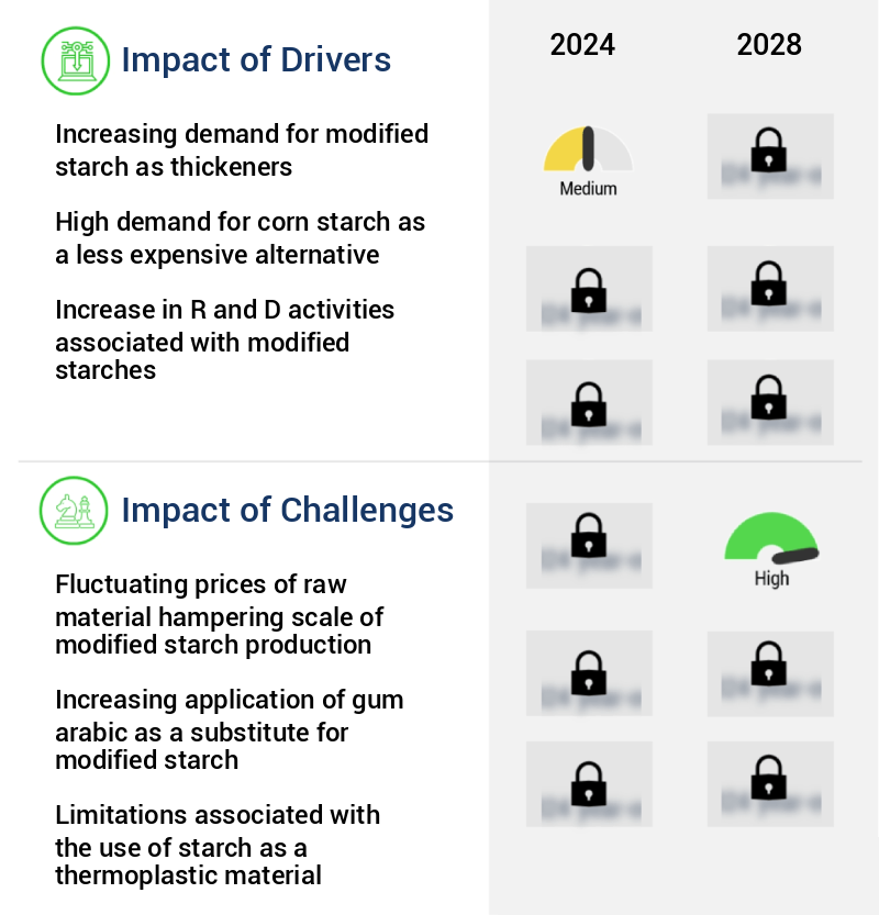 Modified Starch Market Size