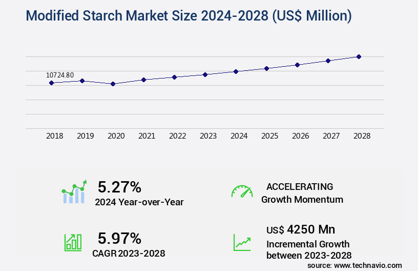 Modified Starch Market Size