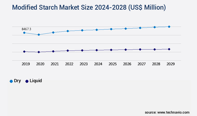 Modified Starch Market Size