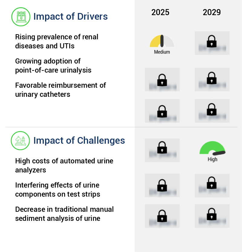 Urinalysis Market Size
