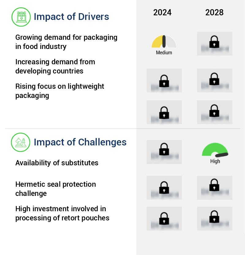 Retort Pouches Market Size